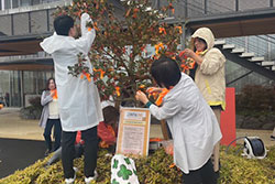 「ZONTA　SAYS　NO」活動